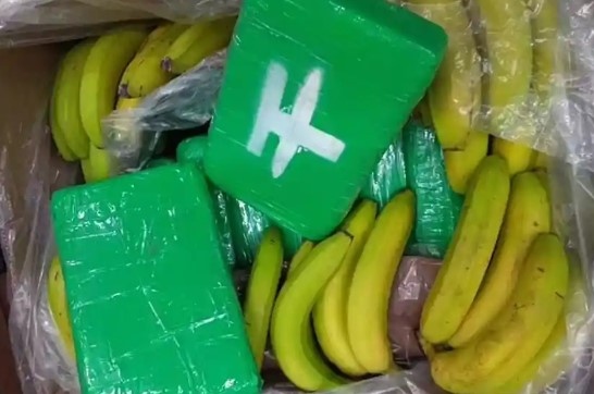 Полицията в Еквадор откри почти 8,8 тона  в пратка банани, пътуваща